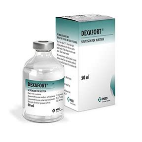 Dexafort for cats