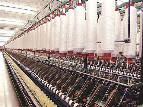 Dhandapani Spinning Mills Ltd - Company Profile and News