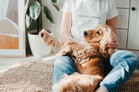 codini.rgarabwor.edu.pl. 