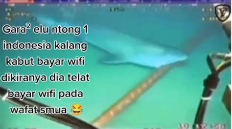 Di gigit ikan hiu hongkong togel plus. Kode transfer dana.