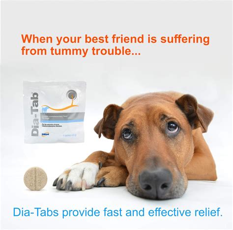 Dia Tab Diarrhoea Tablets for Dogs - pawheads.com