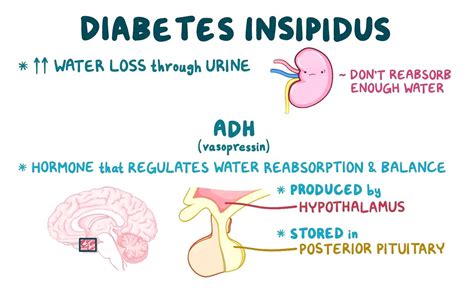Diabetes insipidus ne demek
