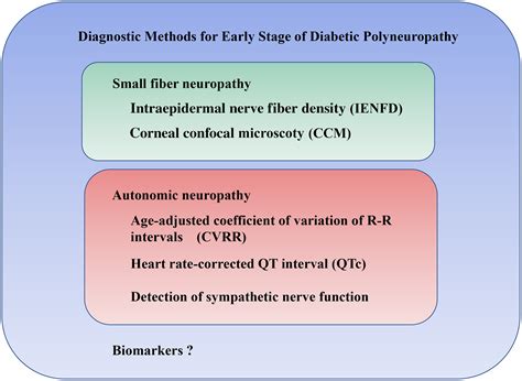 Diabetic Polyneuropathy - Advances in Diagnosis and Intervention ...