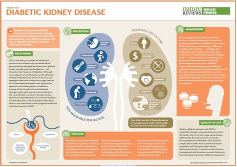 Diabetic kidney disease Nature Reviews Disease Primers