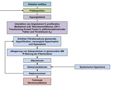 Diabetische Nephropathie Flashcards Quizlet