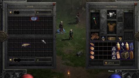 May 6, 2022 · Getting started with Trading in Diablo II Resurrected. Andreliverod - 06 May 2022. DII Resurrected is based on peer-to-peer trading, and there are no auction houses or central marketplace inside of the game. This guide will look at how to trade and barter in D2R, figure out what an item is worth, and maximize profit when exchanging items. . 
