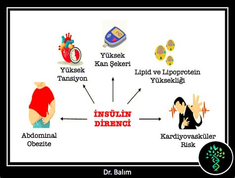 Diaformin insülin direnci