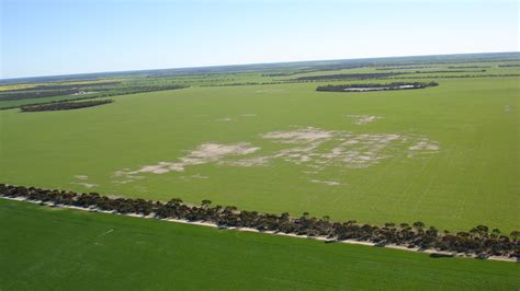 Diagnosing soil dispersion and transient soil salinity