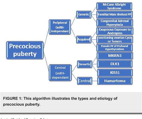 Diagnosis and management of precocious sexual maturation: an …