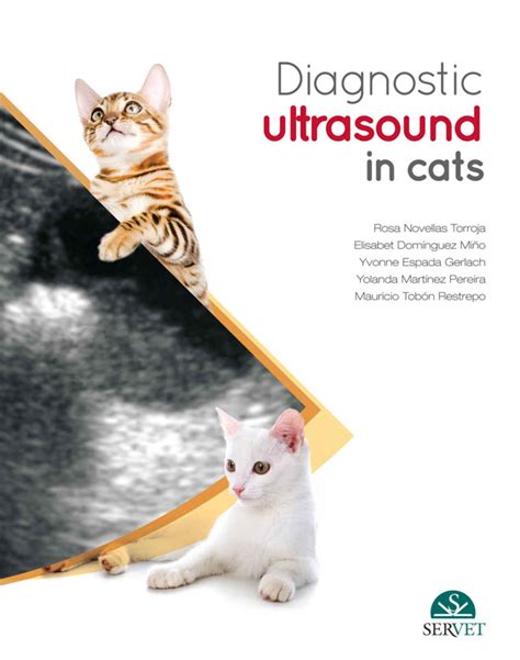 Diagnostic Ultrasound in Cats VetBooks