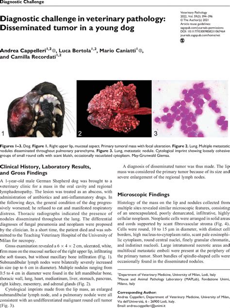 Diagnostic challenge in veterinary pathology: Disseminated tumor in …