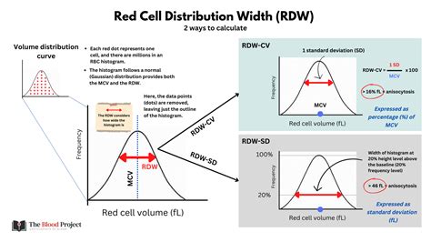 Diagnostic value of red blood cell distribution width, platelet ...