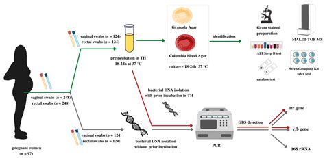 Diagnostics Free FullText Do NAATBased Methods Increase the