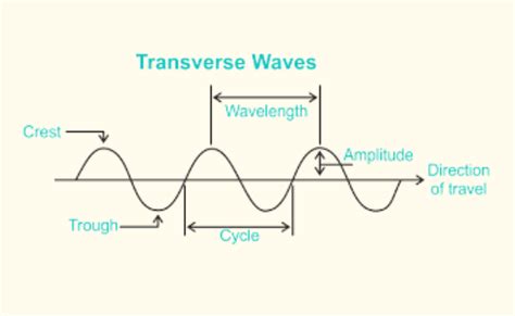 Diagram Of A Transverse Wave
