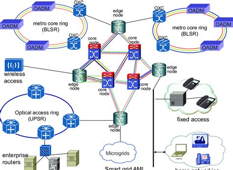 Diagram Of Backbone The backbone architecture refers to the way in