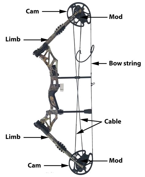 The following are the steps to stringing a recurve bow w