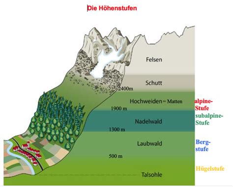 Diagramm beschreibung alpenvorland