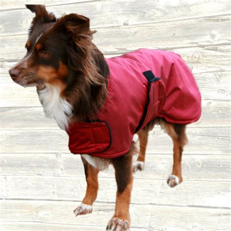 Diamond Dogs Coat - Etsy