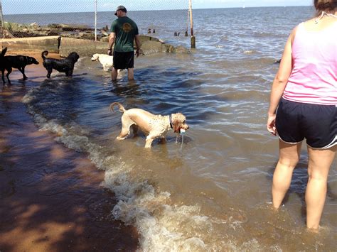 Diamond Head Dog Park - BringFido