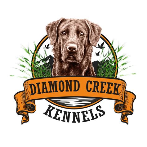 Diamond creek kennel. Things To Know About Diamond creek kennel. 
