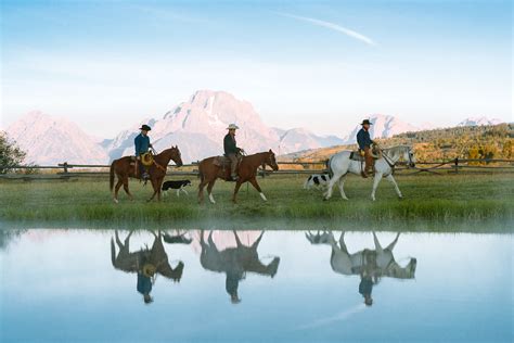 Diamond cross ranch. Things To Know About Diamond cross ranch. 