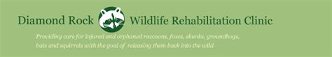 See more of Diamond Rock Wildlife Rehabilitation Clinic on Facebook. Log In. Forgot account? or. Create new account. Not now. Related Pages. Mika & Sammy's Gourmet Pet Treats. Pet Supplies. Furry Heart Pet Services, LLC. Dog Walker. Maddies Castle. Pet Store. Safari Parties. Interest. The 50/50 Company.. 
