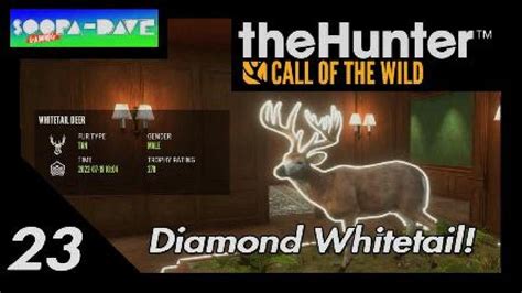 This subreddit is dedicated to theHunter: Call of The Wild and the Hunter Classic. Two hunting simulation games created by Expansive Worlds. ... Members Online • wocky_slosh69. ADMIN MOD What is the minimum trophy score for a diamond whitetail? I've looked online and can't find anything. I've shot a 198.21 gold, and a 235.13 but still .... 