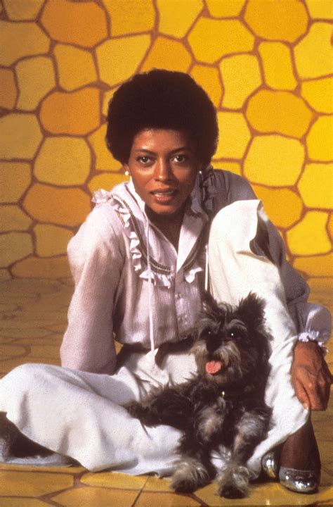 Diana ross the wiz. Here’s a bit of history behind the making of The Wiz, a phantasmagoria of sight, sounds, and Diana Ross. The idea for The Wiz was conceived some ten years … 