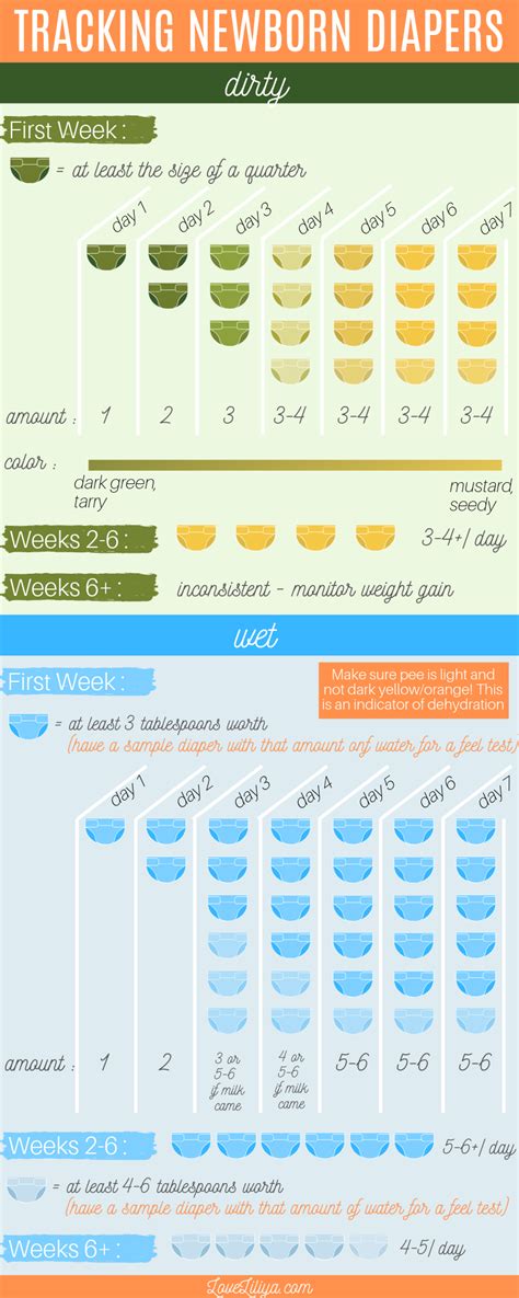 Diaper Chart For Newborns