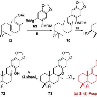 Diastereoselective Synthesis of Î±-Tocopherol: A New Concept for …