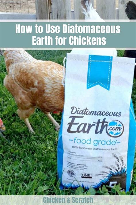 Diatomaceous Earth for Chickens - Happy Chicken Coops