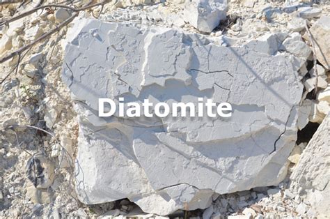 Diatomite & Diatomaceous Earth Manufacturer In India - 20 Microns