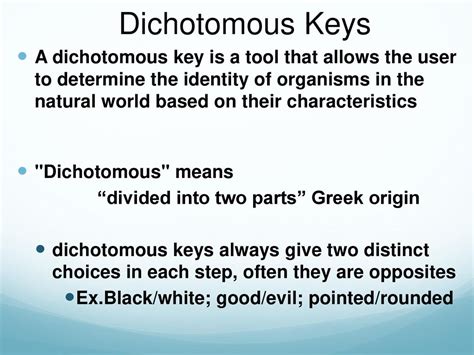 Dichotomous etymology in English Etymologeek.com