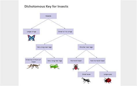 Dichotomous key online.  It&rsquo;s the simplest type of categorical variable, and...