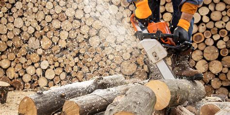 Dick Leigh Chainsaw Specialist Company Profile - Dun