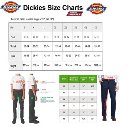 Dickies Size Chart Dickies Pants Sizes Dickies Shirt Sizes …