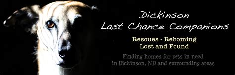 Dickinson last chance companions. Update: Due to all the helpful people responding, Ive found a boarder for Diamond while I'm gone. My Aunt(2nd Momma) passed away and if I wasn't so heartbroken I would drive and bring her but due... 