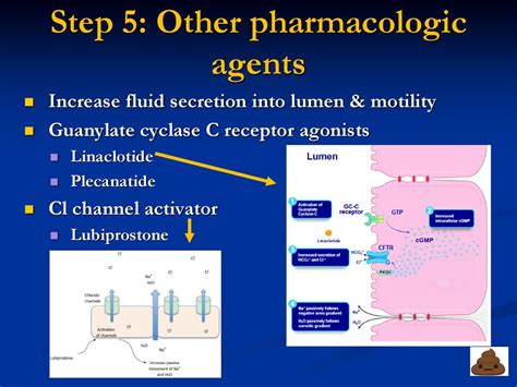 Diclogesic Uses, Dosage, Side Effects, FAQ - MedicinesFAQ