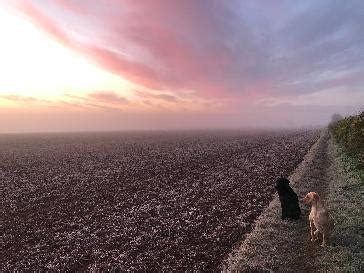 Didcot - BBC Weather