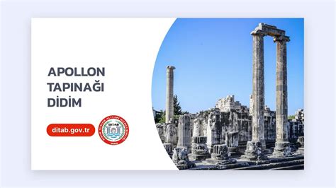 veodersti.rgarabwor.edu.pl. 