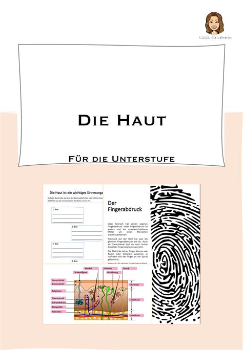 Die Haut - Referat, Hausaufgabe, Hausarbeit