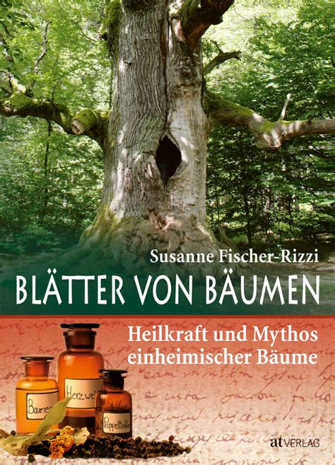 Die Kraft des Baumes – Harzsalbe als natürliches Heilmittel