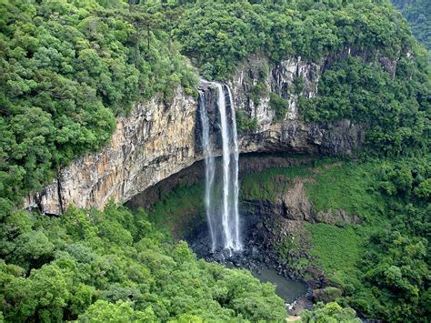 Die Natur in Brasilien