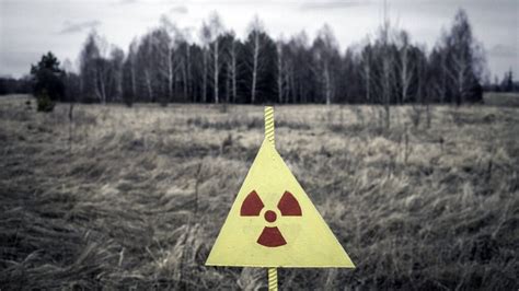 Die auswirkungen des reaktorunfalls in tschernobyl auf österreich. - A clínica fonoaudiológica e a psicologia clínica.