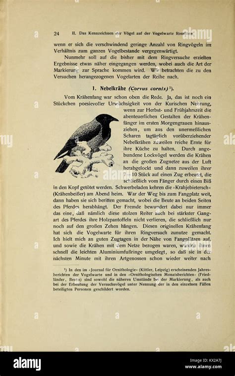 Die vogelwarte rossitten der deutschen ornithologischen gesellschaft und das kennzeichen der vögel. - Manual de reparación del motor diesel caterpillar 3116.