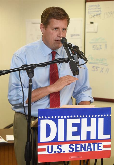 Diehl sets sites on Senate with campaign update
