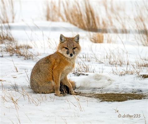 😈 Dielmaa_ Onlyfans Leaked [SEX VIDEO]