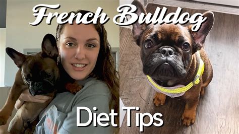 Diet For French Bulldog Puppies
