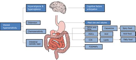 Diet and functional dyspepsia: Clinical correlates and therapeutic ...