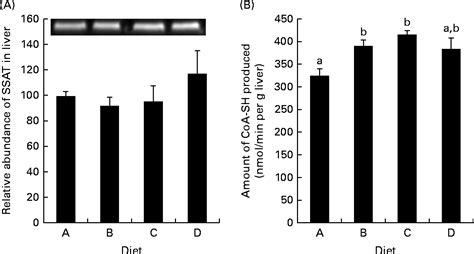 Dietary arginine affects energy metabolism through polyamine turnover ...